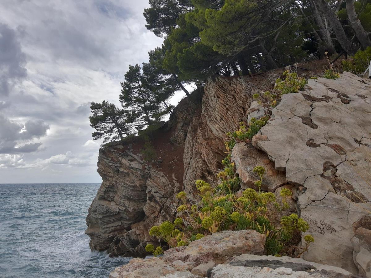 Sea-Side Old Stone Villa With A Private Garden Budva Exteriör bild