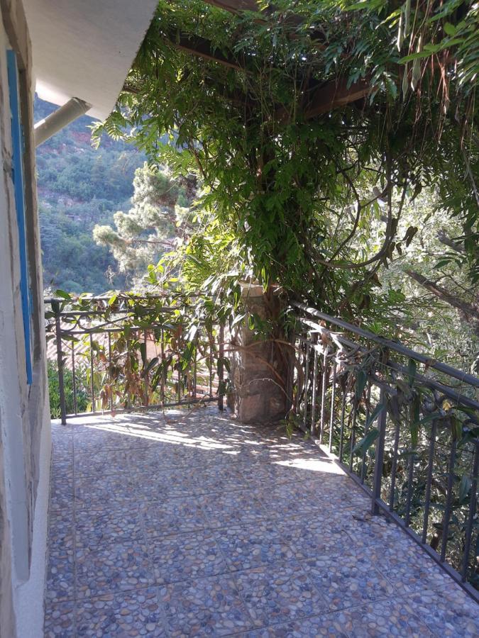 Sea-Side Old Stone Villa With A Private Garden Budva Exteriör bild
