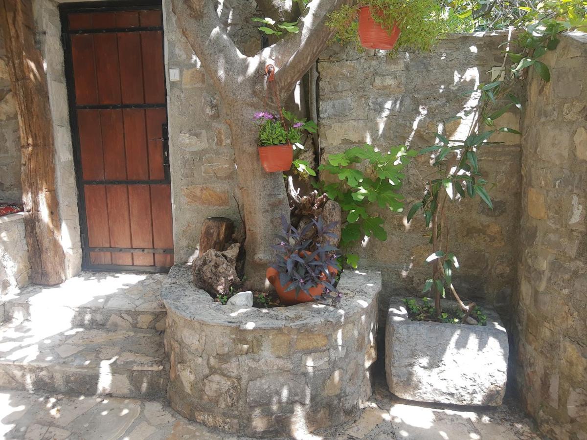 Sea-Side Old Stone Villa With A Private Garden Budva Exteriör bild