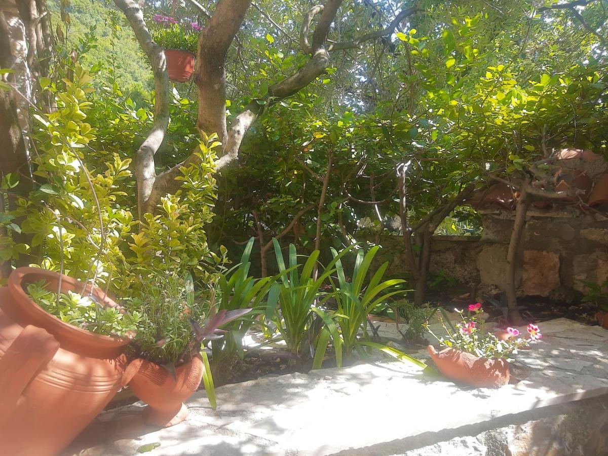 Sea-Side Old Stone Villa With A Private Garden Budva Exteriör bild