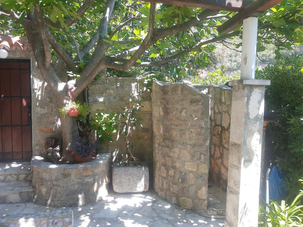 Sea-Side Old Stone Villa With A Private Garden Budva Exteriör bild