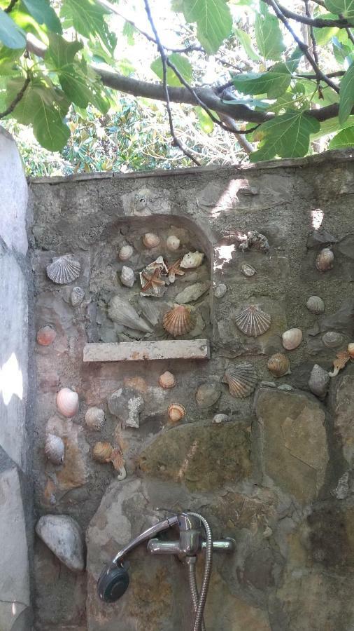 Sea-Side Old Stone Villa With A Private Garden Budva Exteriör bild
